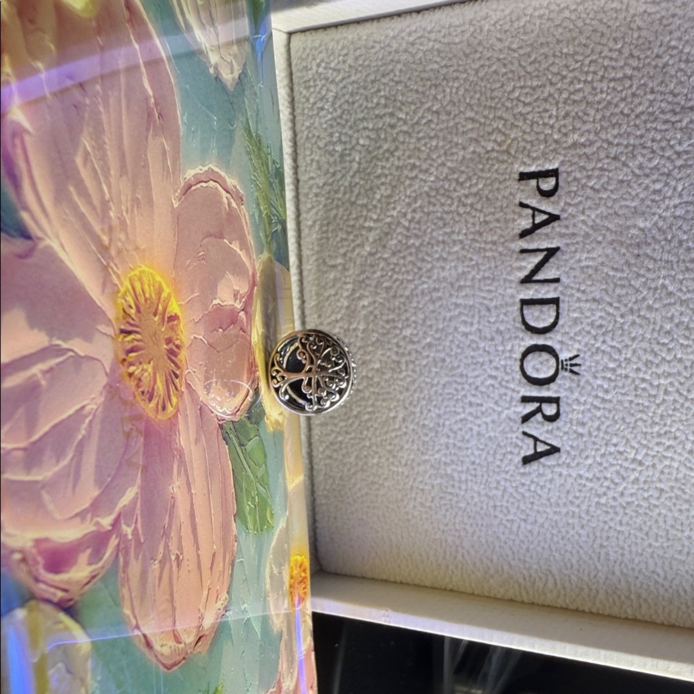 Pandora Silver Charm with Intricate Design